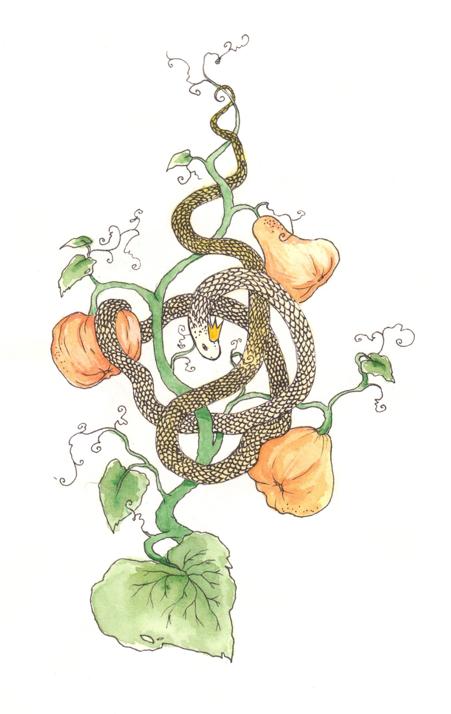 Mariella Fahr Illustration Die Sage vom Schlangenkönig The legend of the snake king pumpkin kürbis krone crown