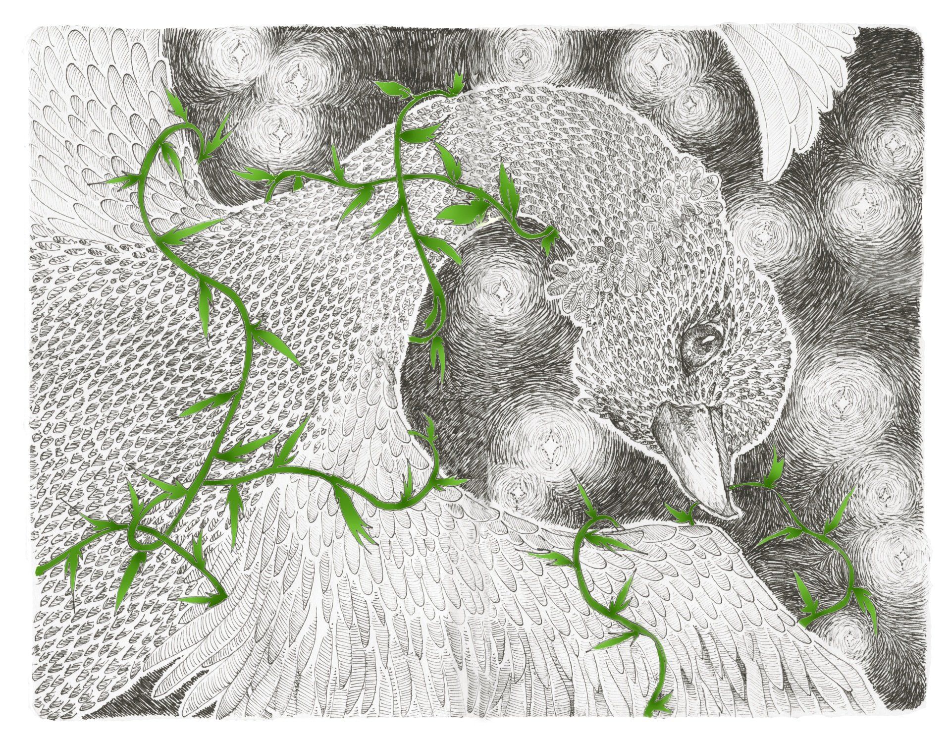 Mariella Fahr Illustration Die wilden Schwäne  The twelve wild geese brennesseln pflanzen schwan vogel
