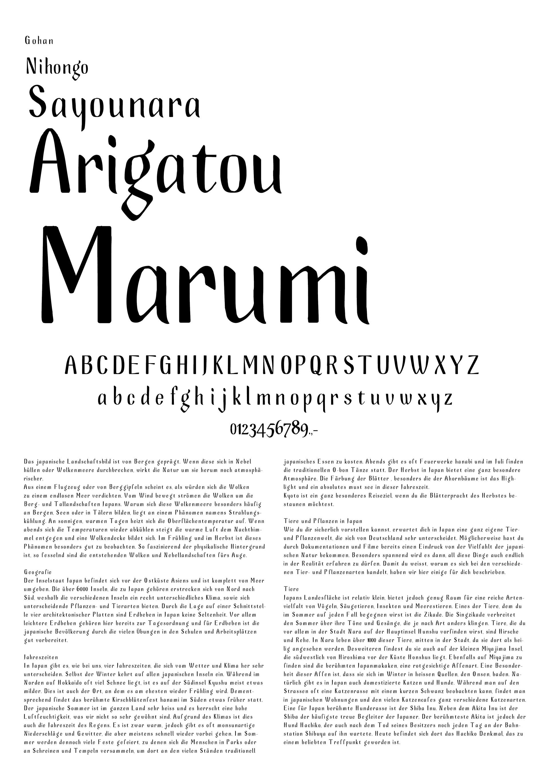 Mariella Fahr Typografie Marumi