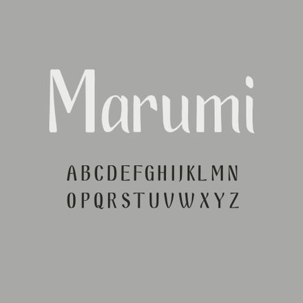 Mariella Fahr Typografie Marumi Schriftentwicklung Font
