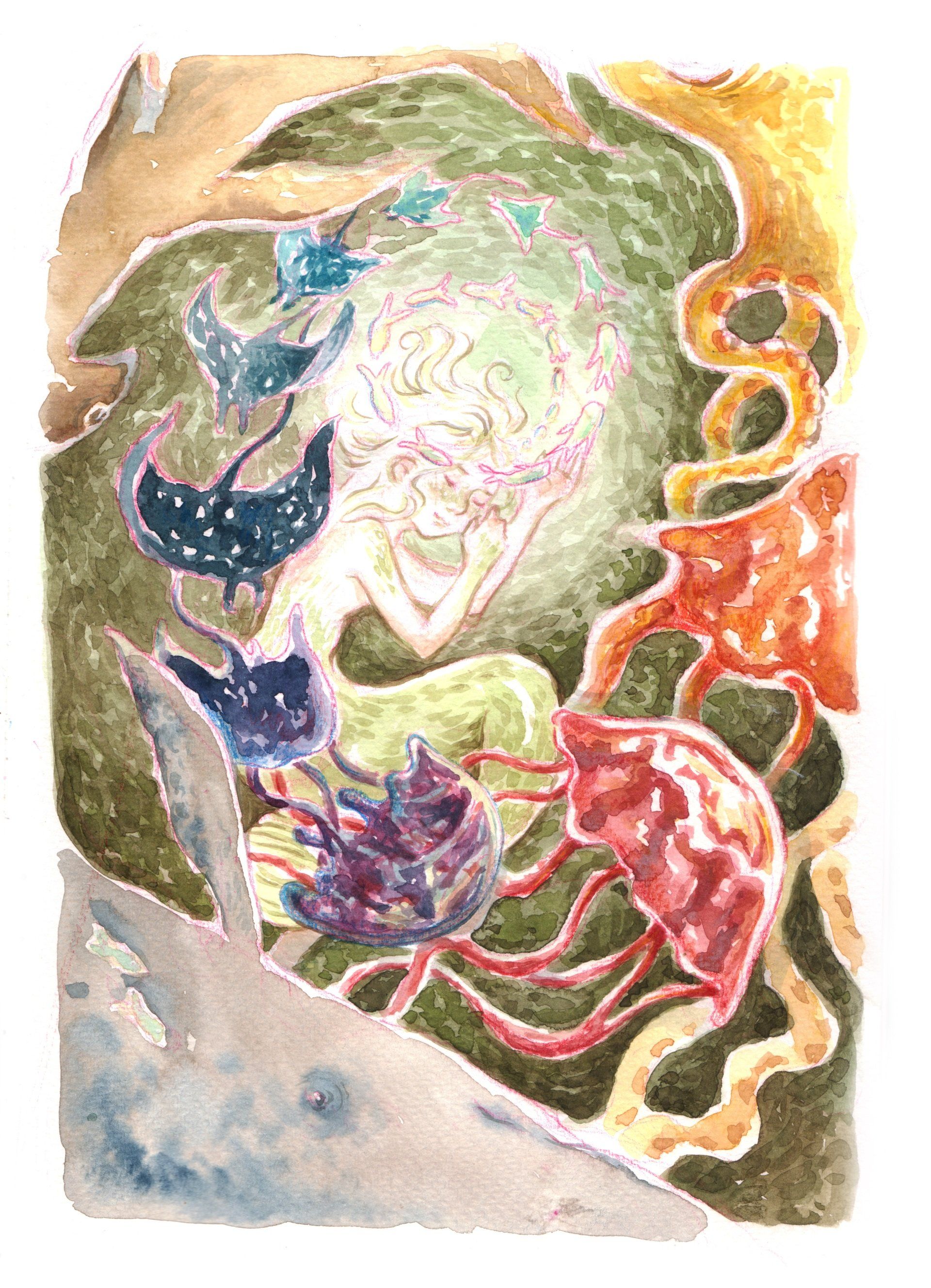 Mariella Fahr Illustration Meerjungfrau Traum dream