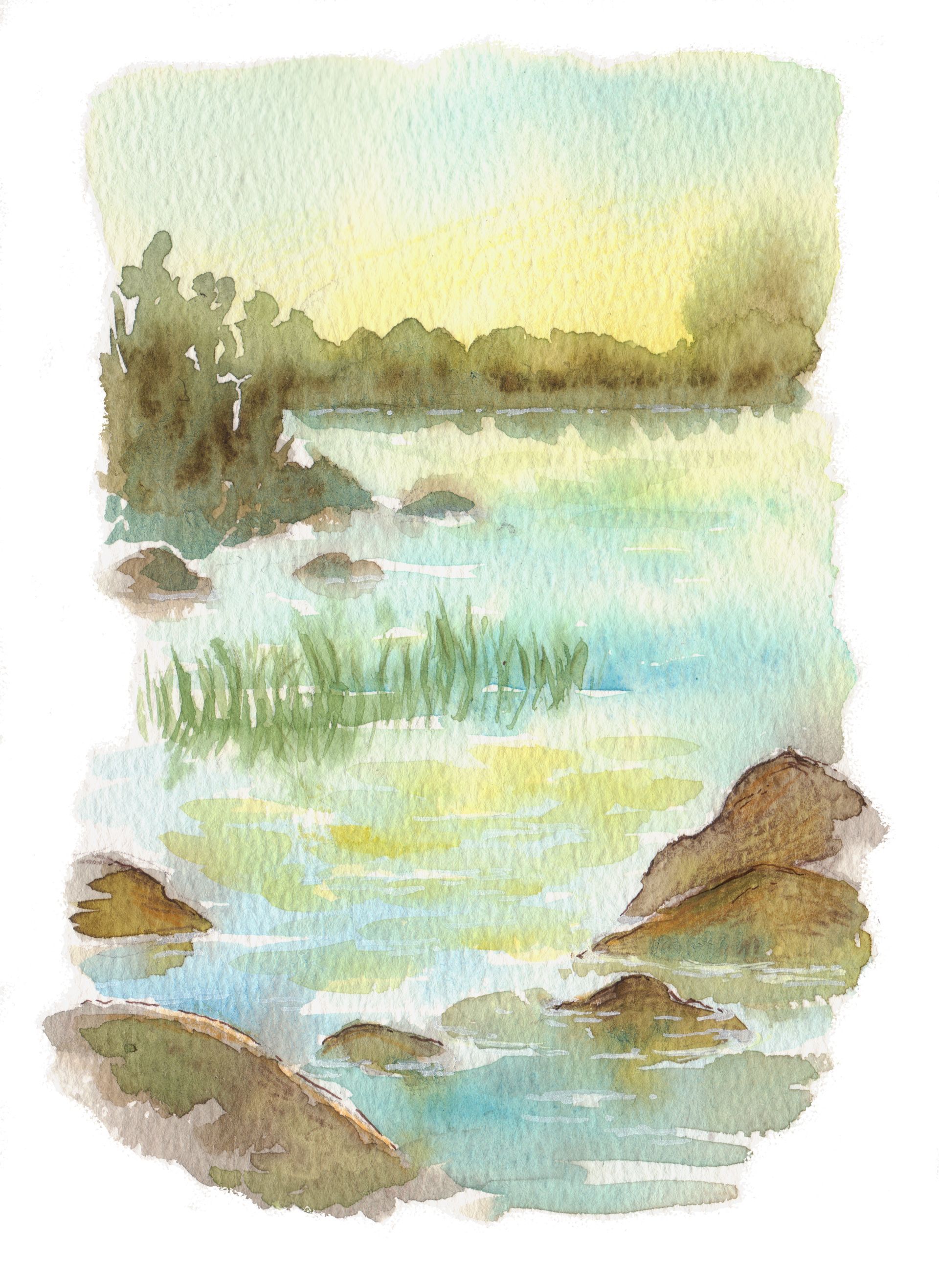 Mariella Fahr Illustration Schweden 2024