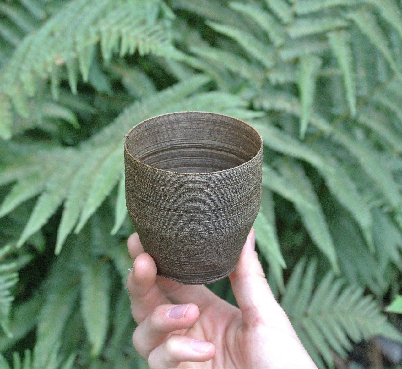 ¿Cuál es la Diferencia Entre Biodegradable y Compostable?
