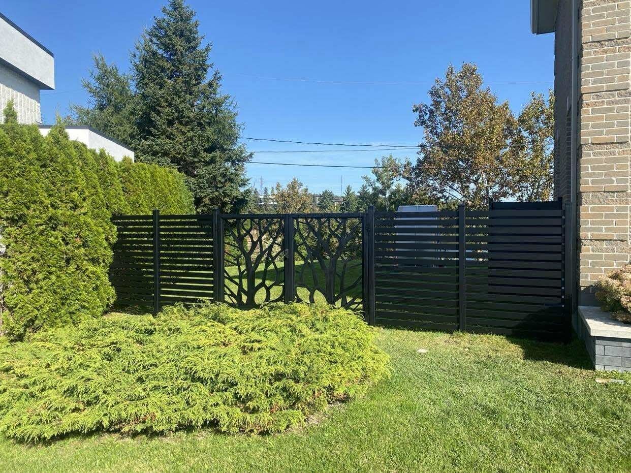 Portail et clôture noirs derrière une haie verte dans une cour ensoleillée