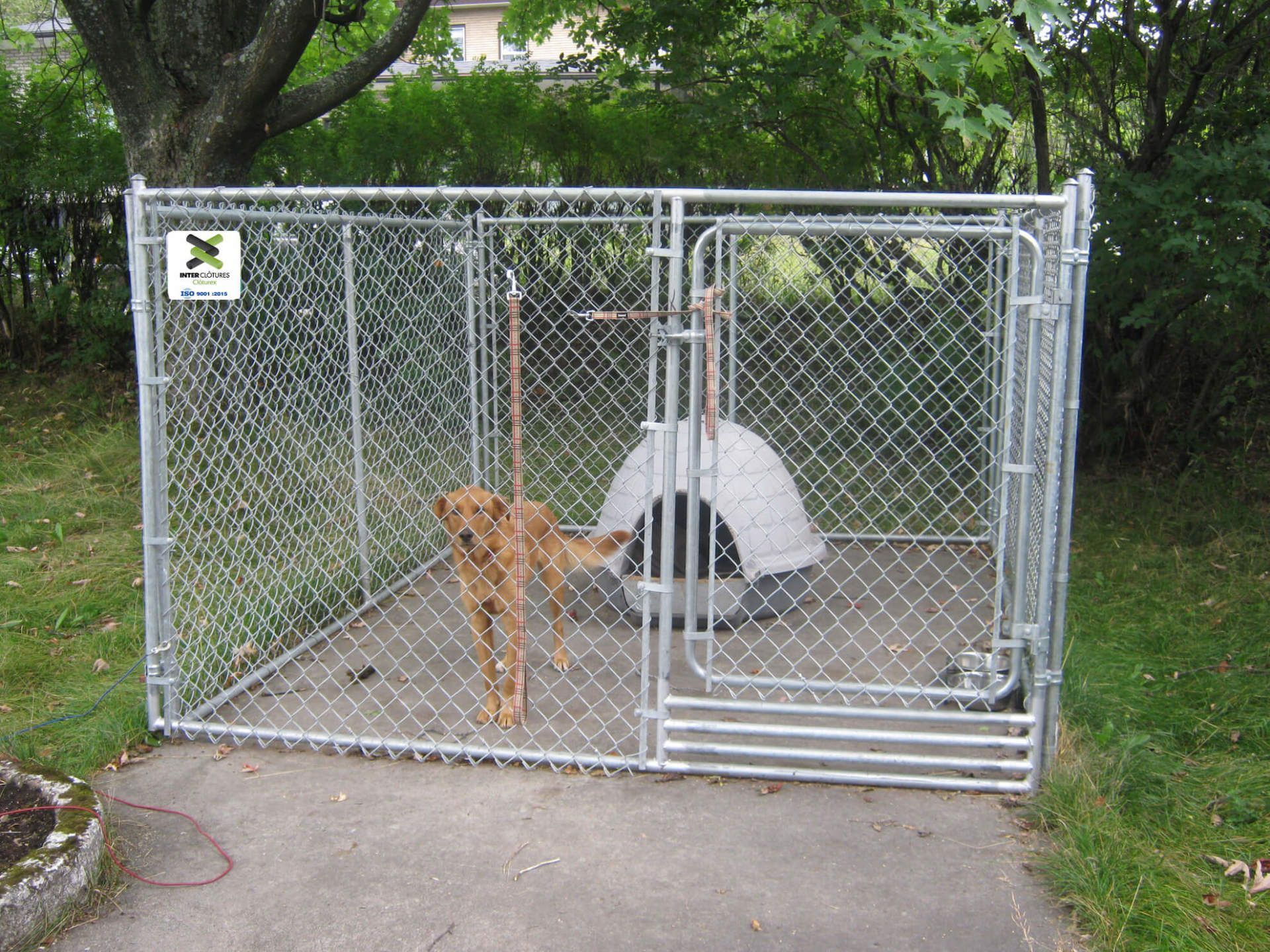 Chien brun dans un chenil grillagé avec une niche blanche dans une cour herbeuse