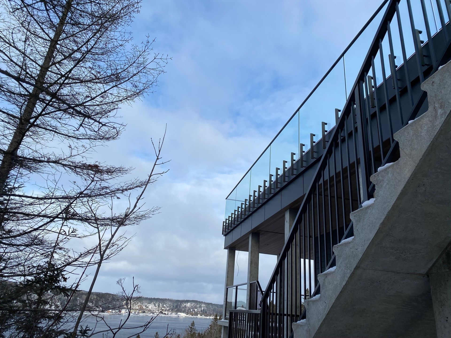 Arbre sans feuilles près d'un bâtiment moderne surplombant une rivière enneigée sous un ciel bleu