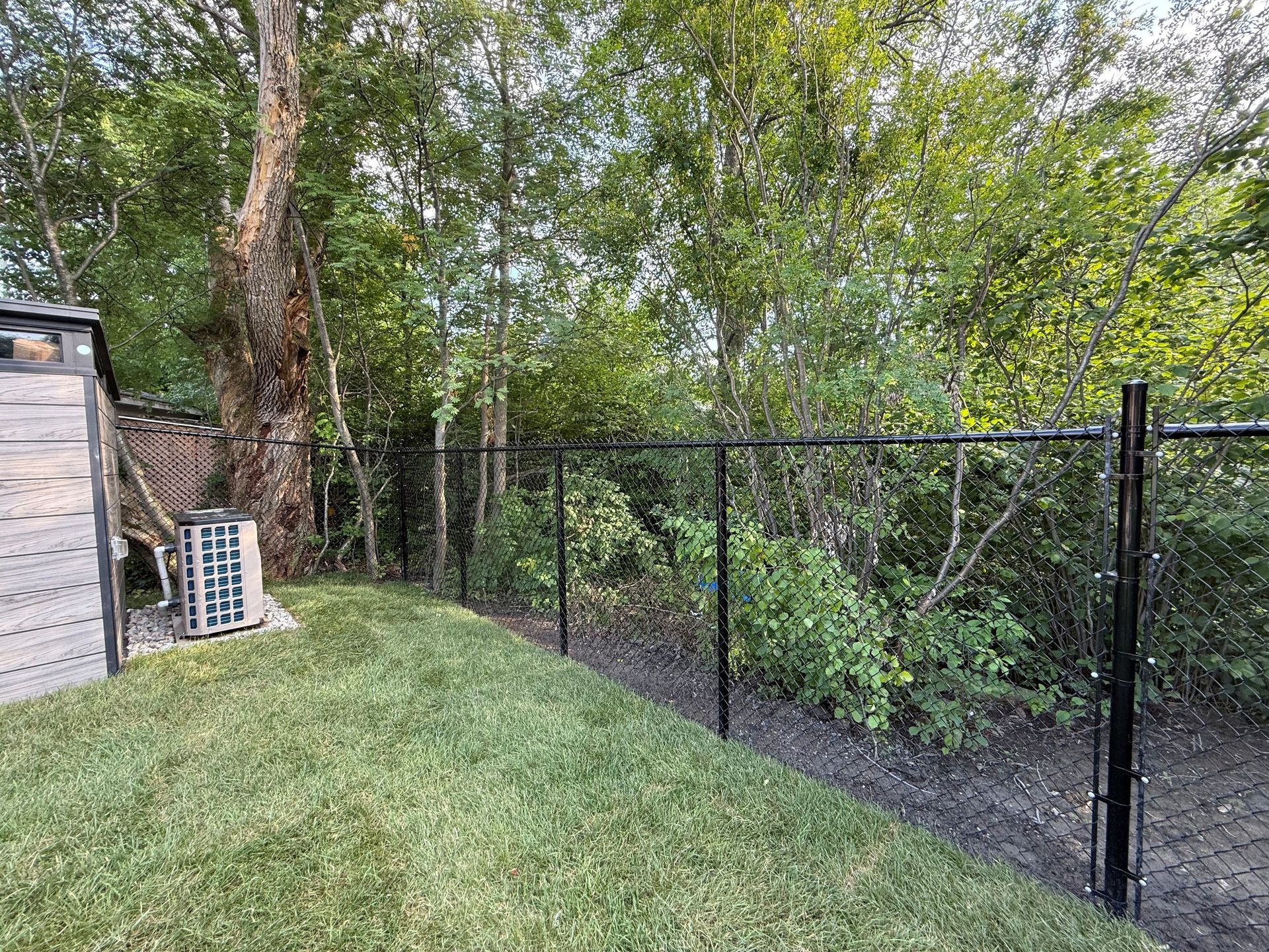 Cour arrière avec clôture en grillage noir, pelouse et arbres denses en bordure.