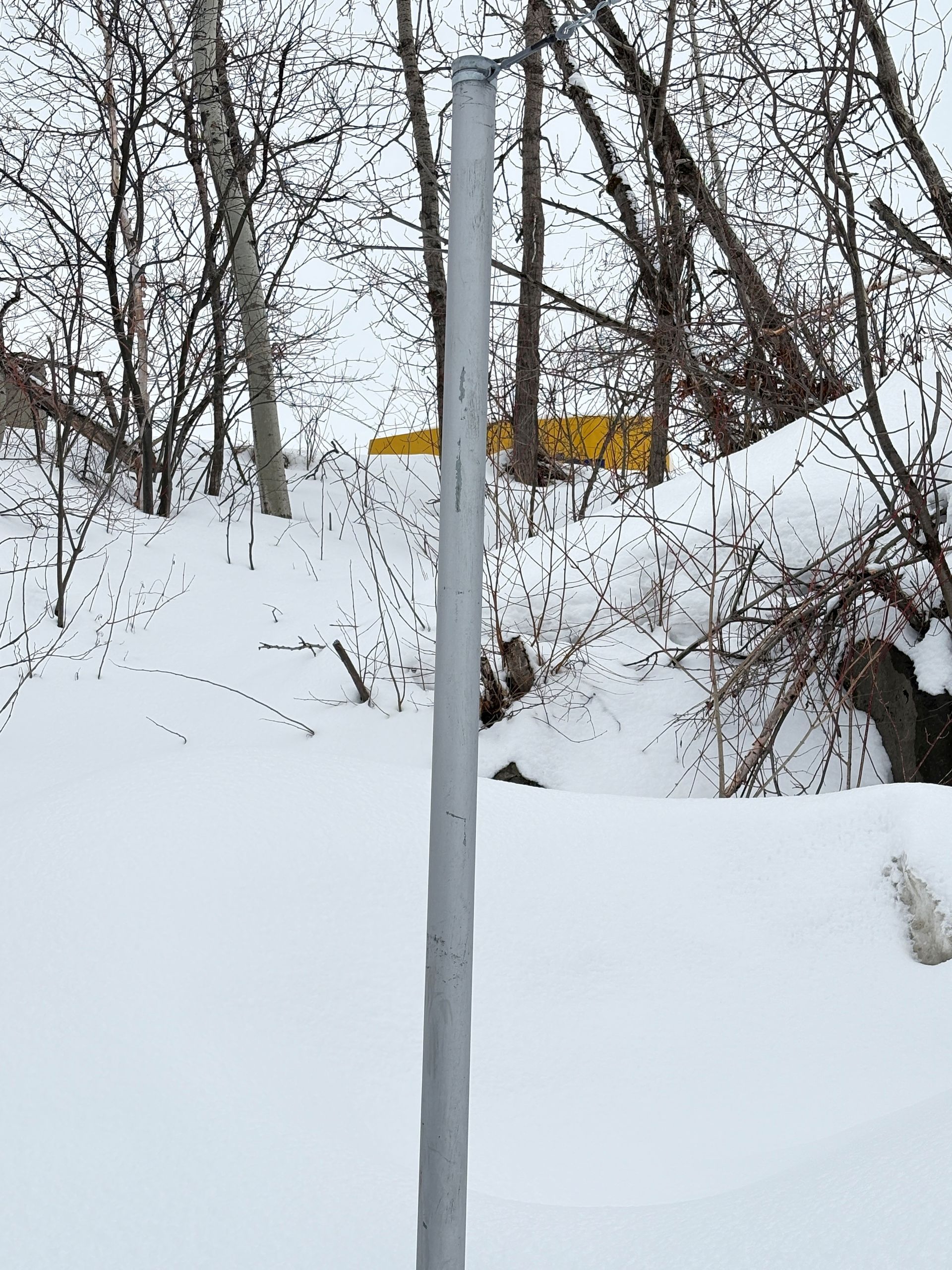 Colline boisée et enneigée avec un panneau jaune partiellement caché derrière un poteau et des arbres.
