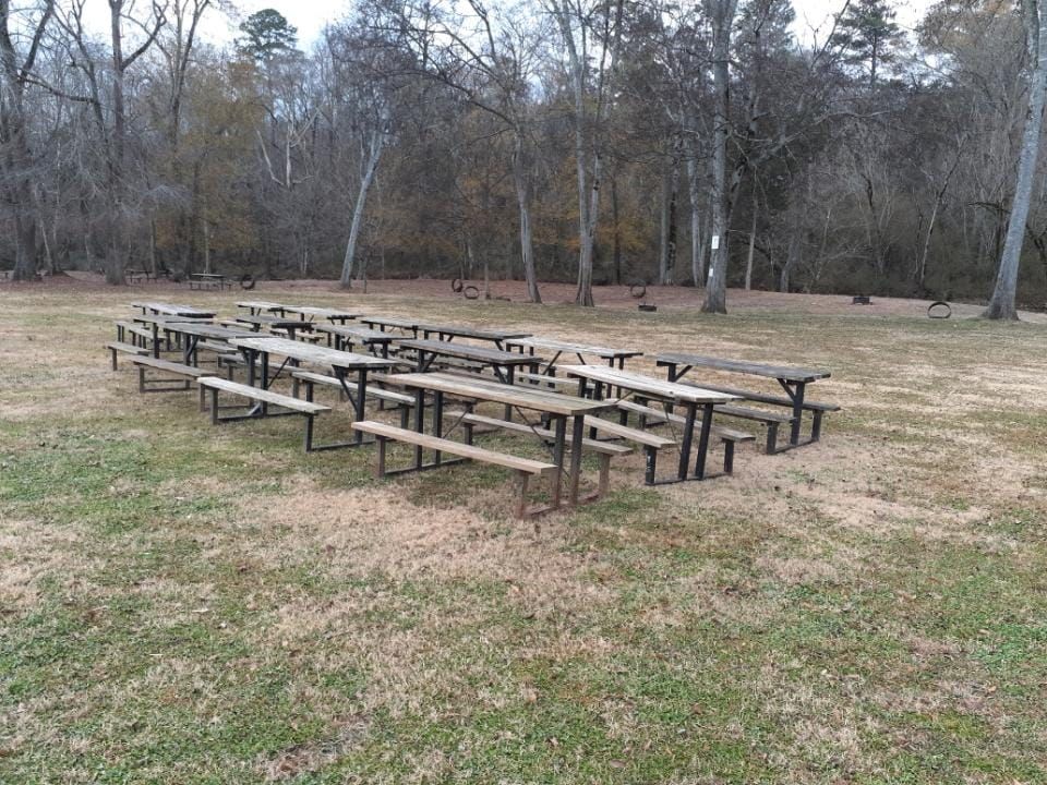 a row of wooden picnic tables in a field with trees in the background .