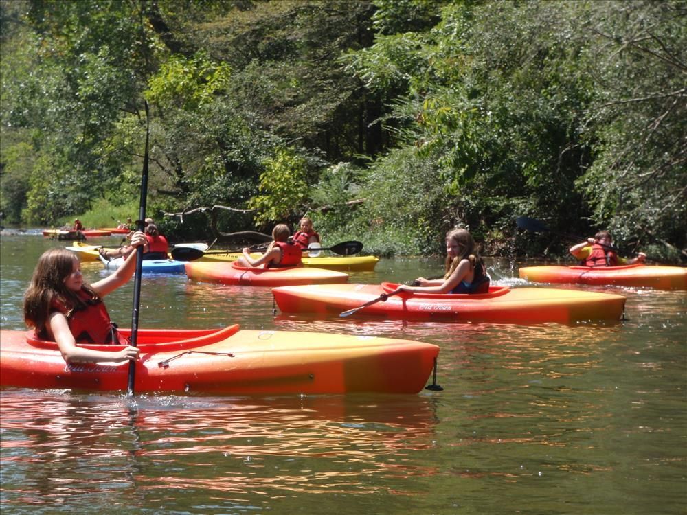 a group of people are paddling kayaks on a river .