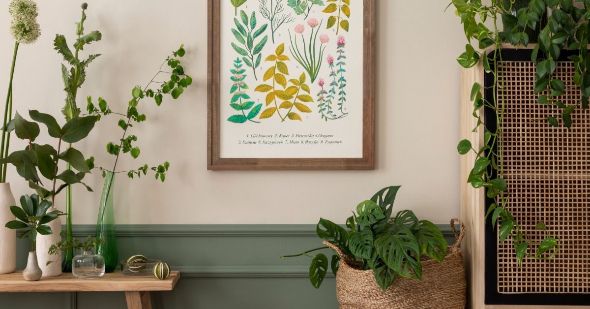 A room with several potted green plants in vases, baskets, and pots. A framed botanical poster is on