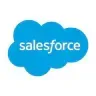 The salesforce logo is a blue cloud on a white background.