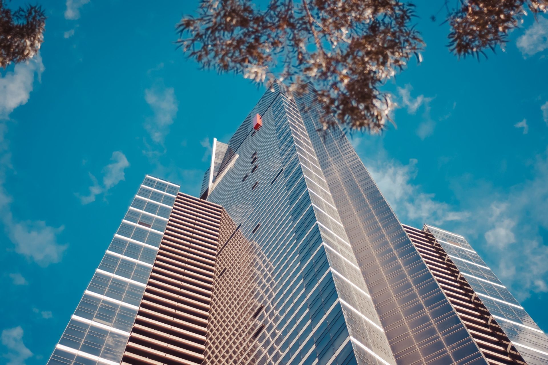 High-rise building against a blue sky with light clouds, shot from a low angle with tree branches at the top.