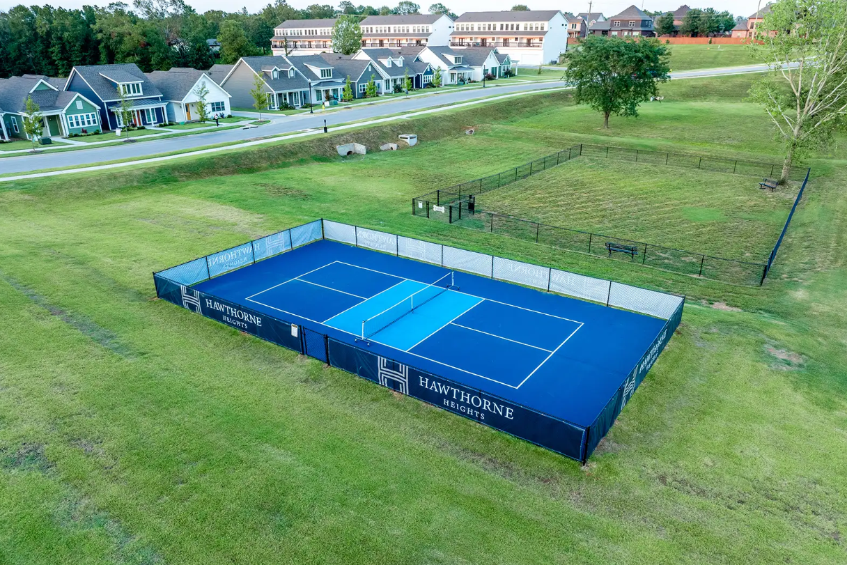 Blue pickleball court in a grassy area, with houses and trees in the background.