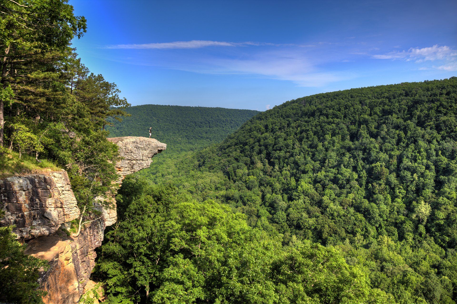 A view of a forest from a cliff on a sunny day.