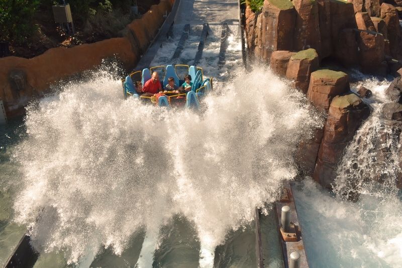 Chiropractic Solutions for Whiplash from Theme Park Rides