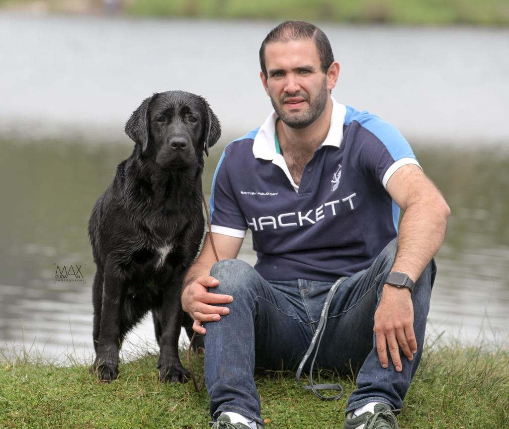 labrador retriever en venta