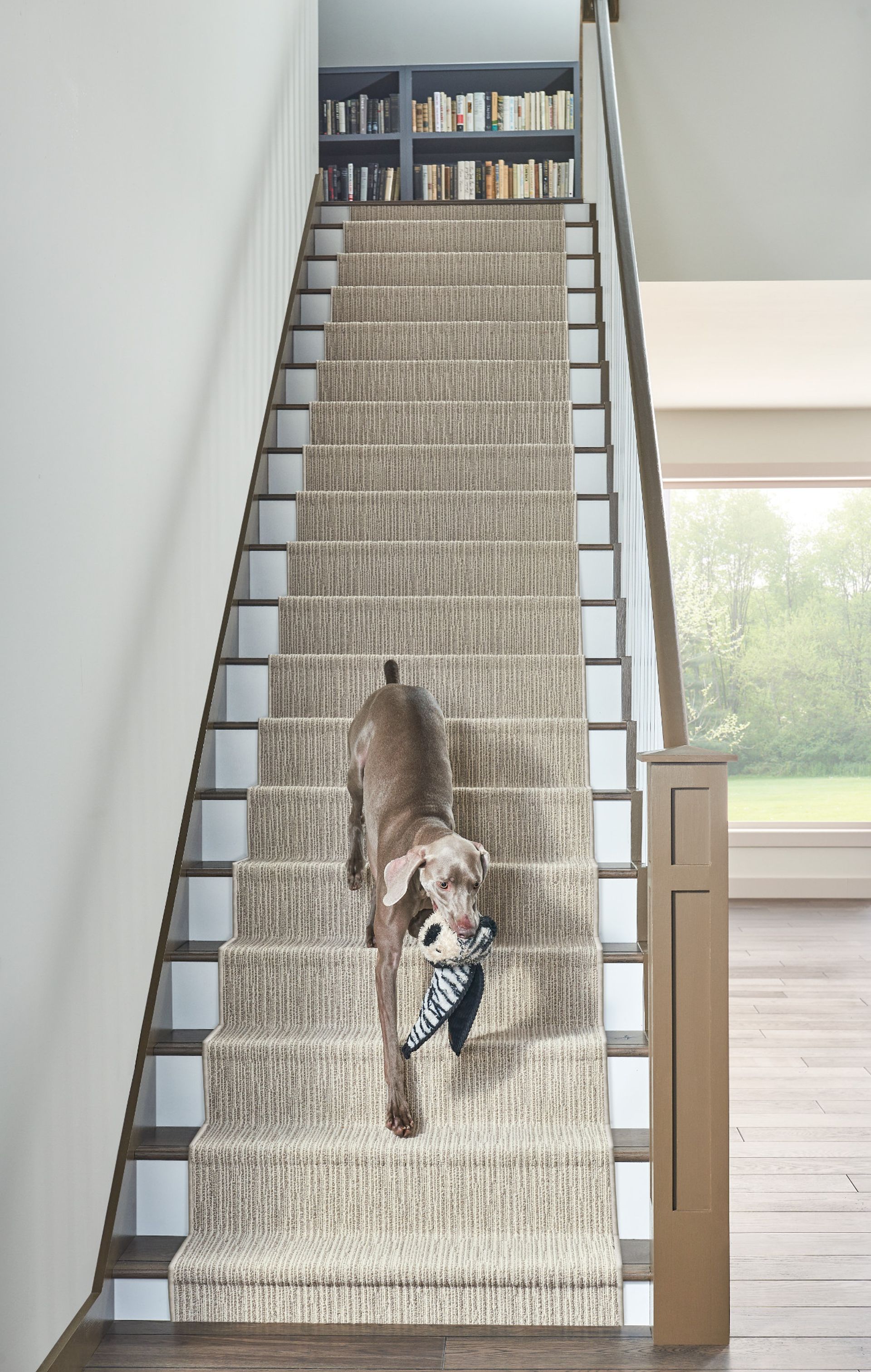 Parquet Flooring and Stylish Furniture | Midland Park, NJ | V&S Floor Covering