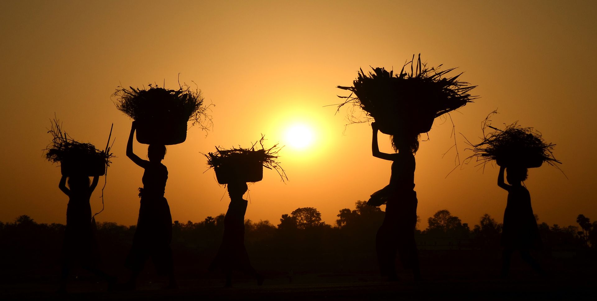 silhouette of people carrying their harvest
