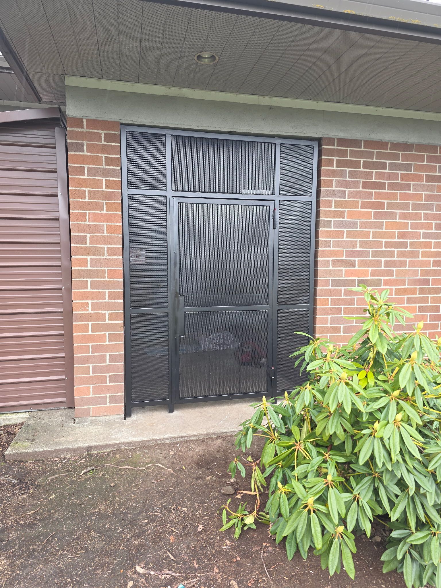 Black security door on a brick building with a shrub in front.