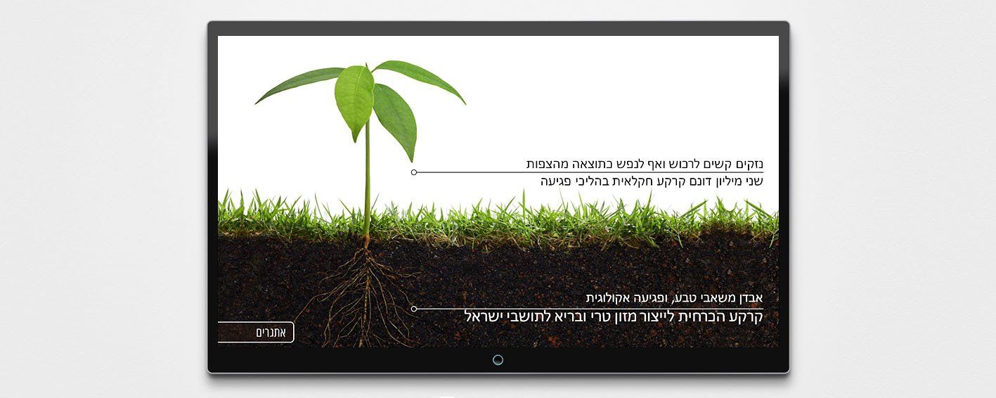 עיצוב אתר בתחום המחקר הרפואי