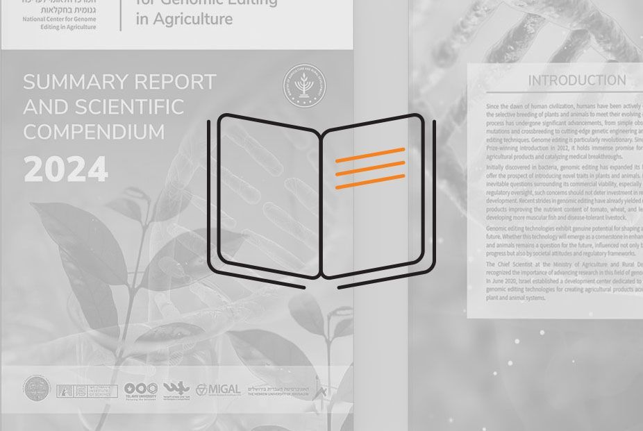 מגזינים, קטלוגים וחוברות