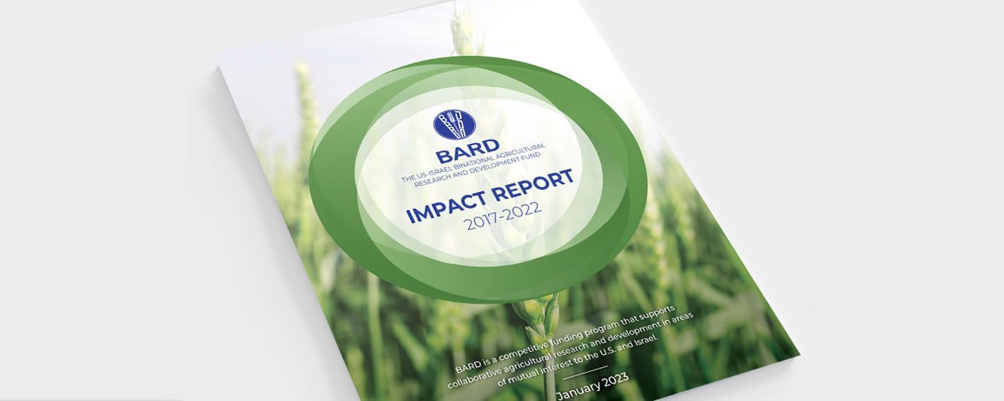 עיצוב חוברת