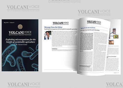 עיצוב מגזין מדעי