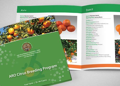 עיצוב קטלוג חקלאי