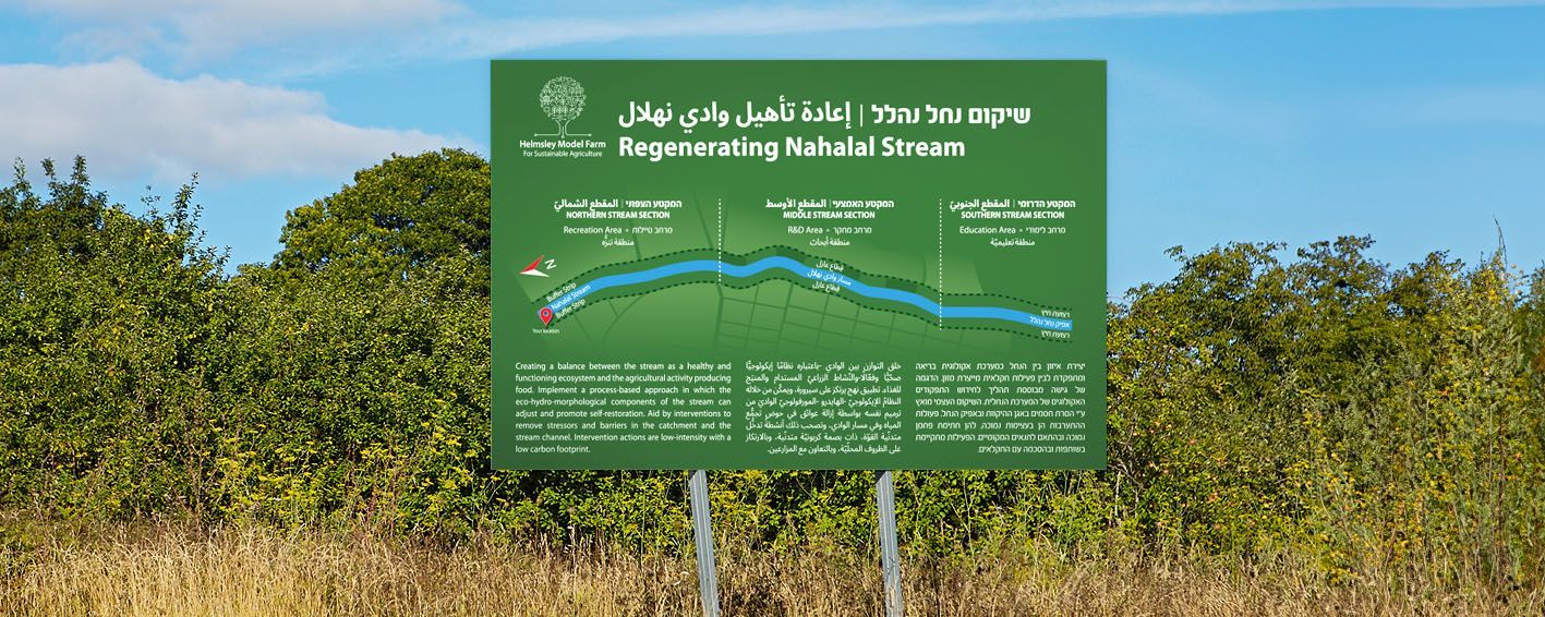 עיצוב פלייר תדמיתי למחקר חקלאי