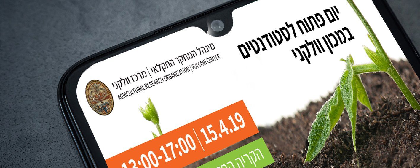 עיצוב ברושור למוסד לימודי