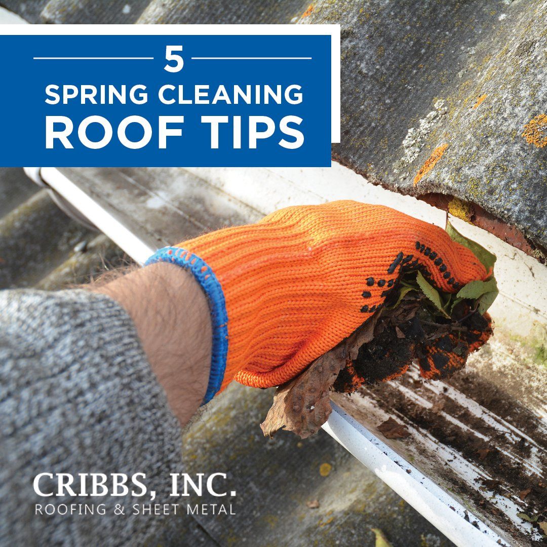 Five Spring Cleaning Roof Tips [Infographic]