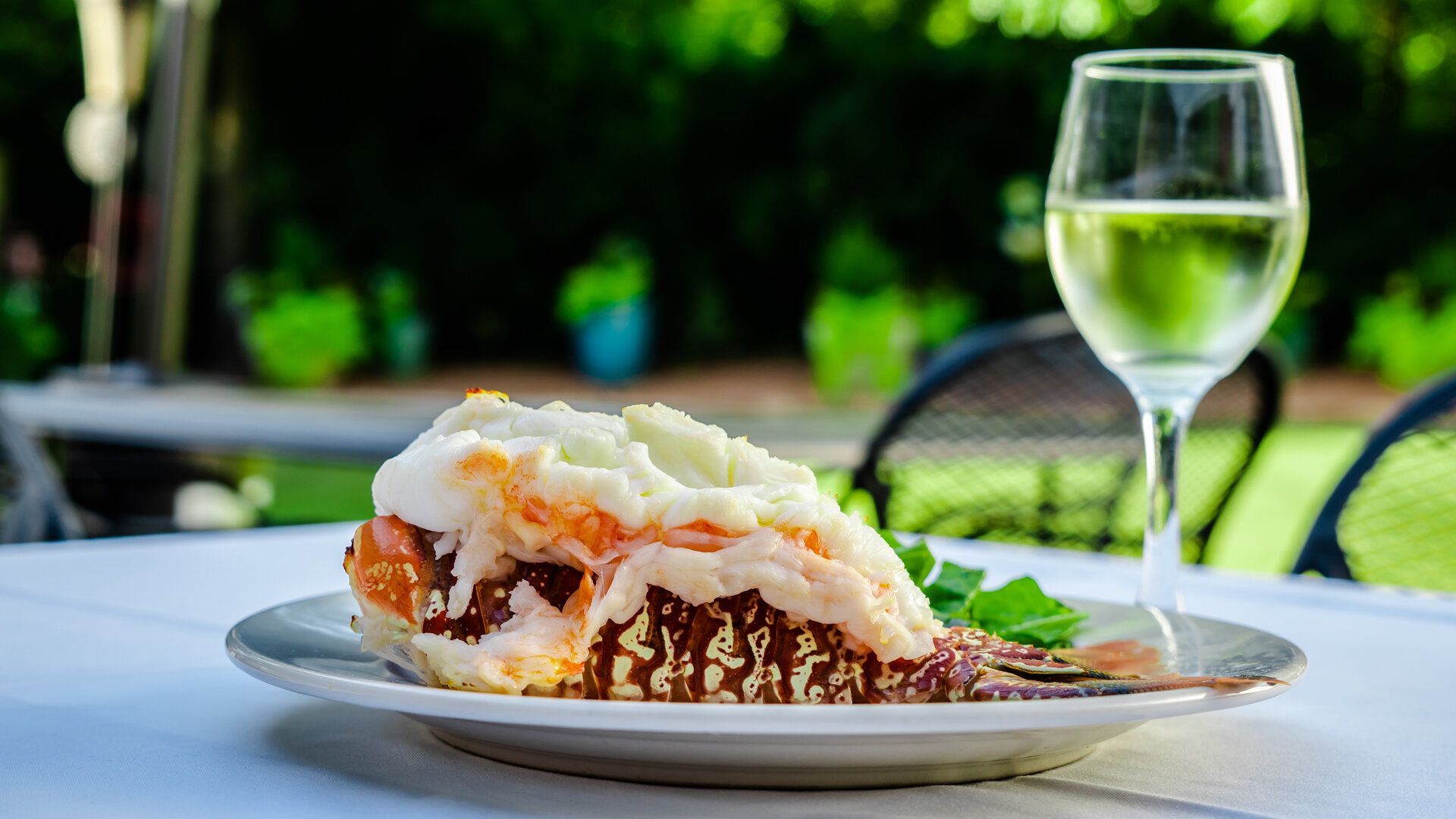A plate of food and a glass of wine on a table.