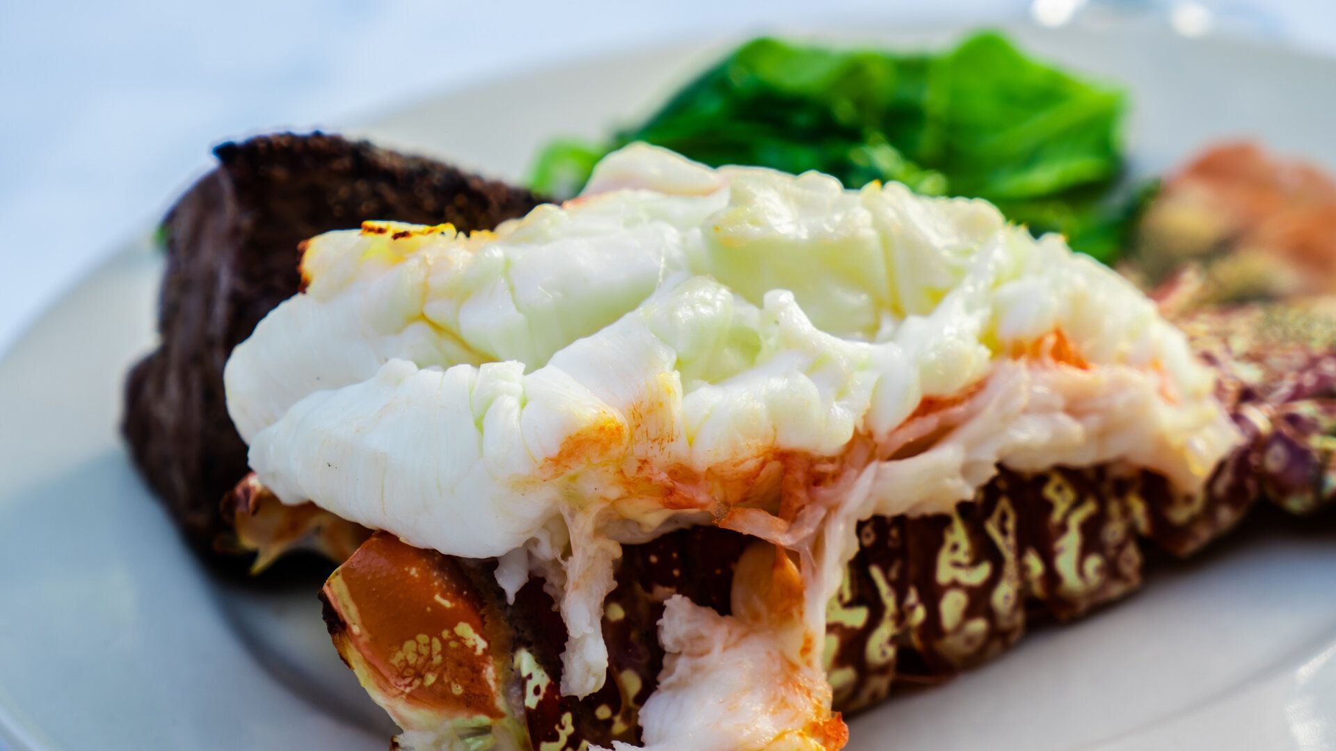 A close up of a plate of food with a piece of lobster on it.