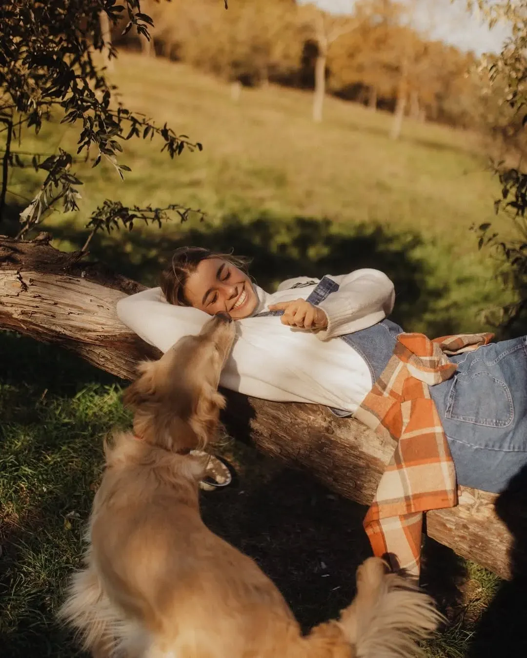 Person lying on a blanket in a grassy field while a tan dog stands nearby, holding an orange plaid cloth.