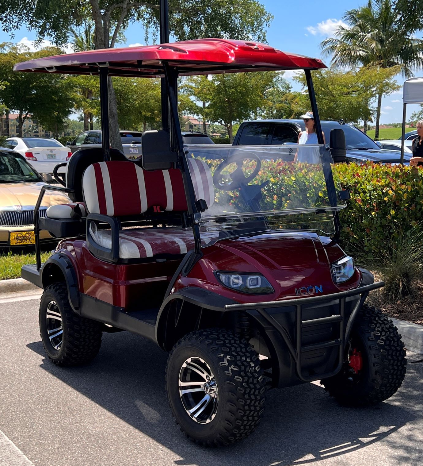 ICON golf carts Naples, FL Hole In One Golf Carts