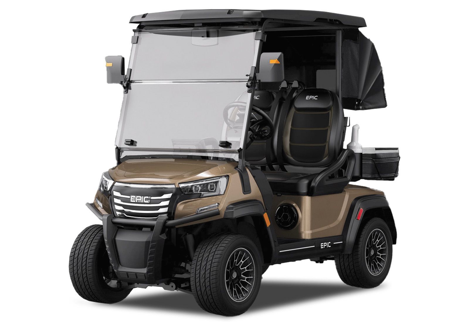 FX20 in Metallic Cashmere 2-passenger golf cart | Hole In One Golf Carts Naples, FL