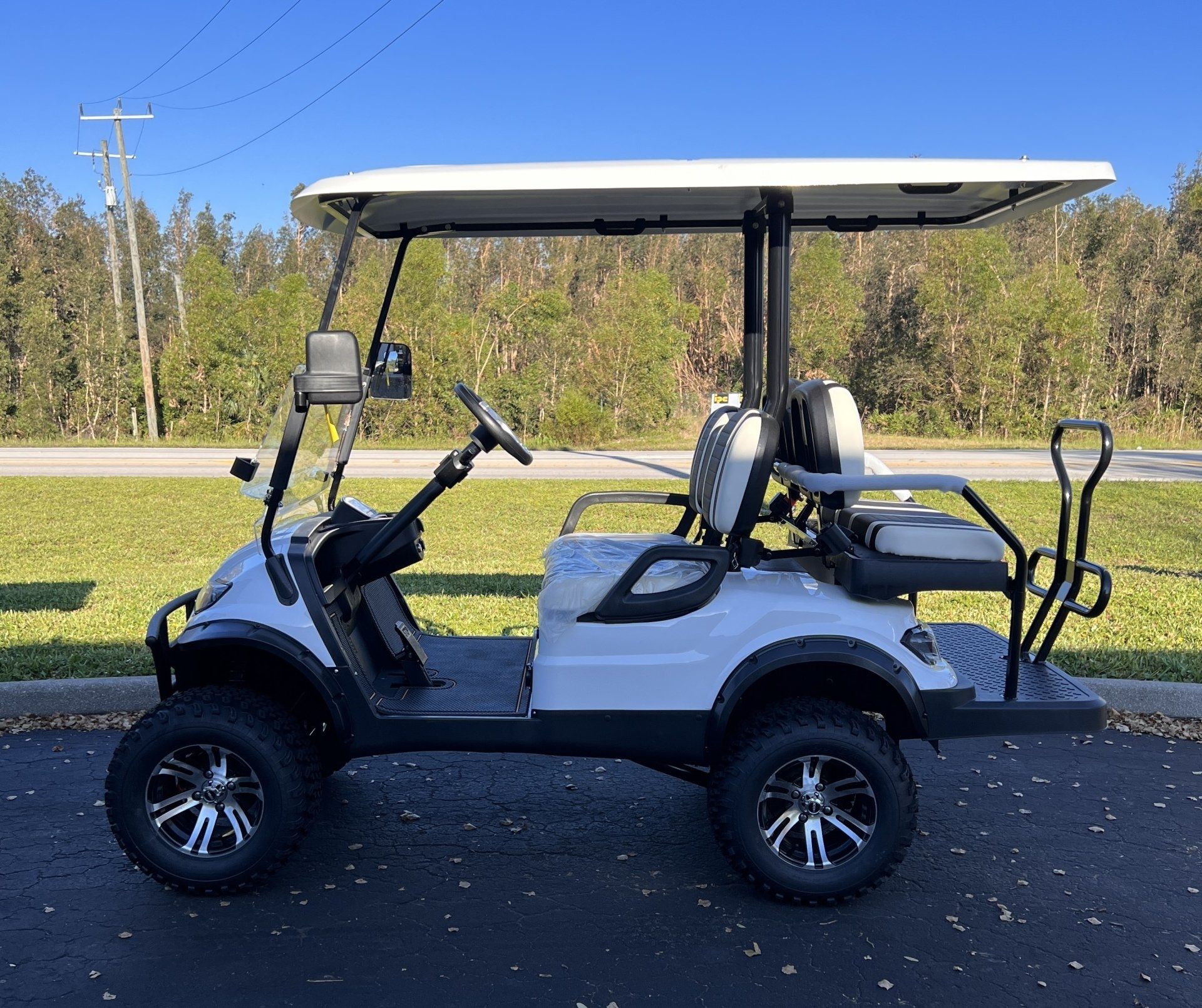 Affordable Golf Carts | Naples, FL | Hole In One Golf Carts