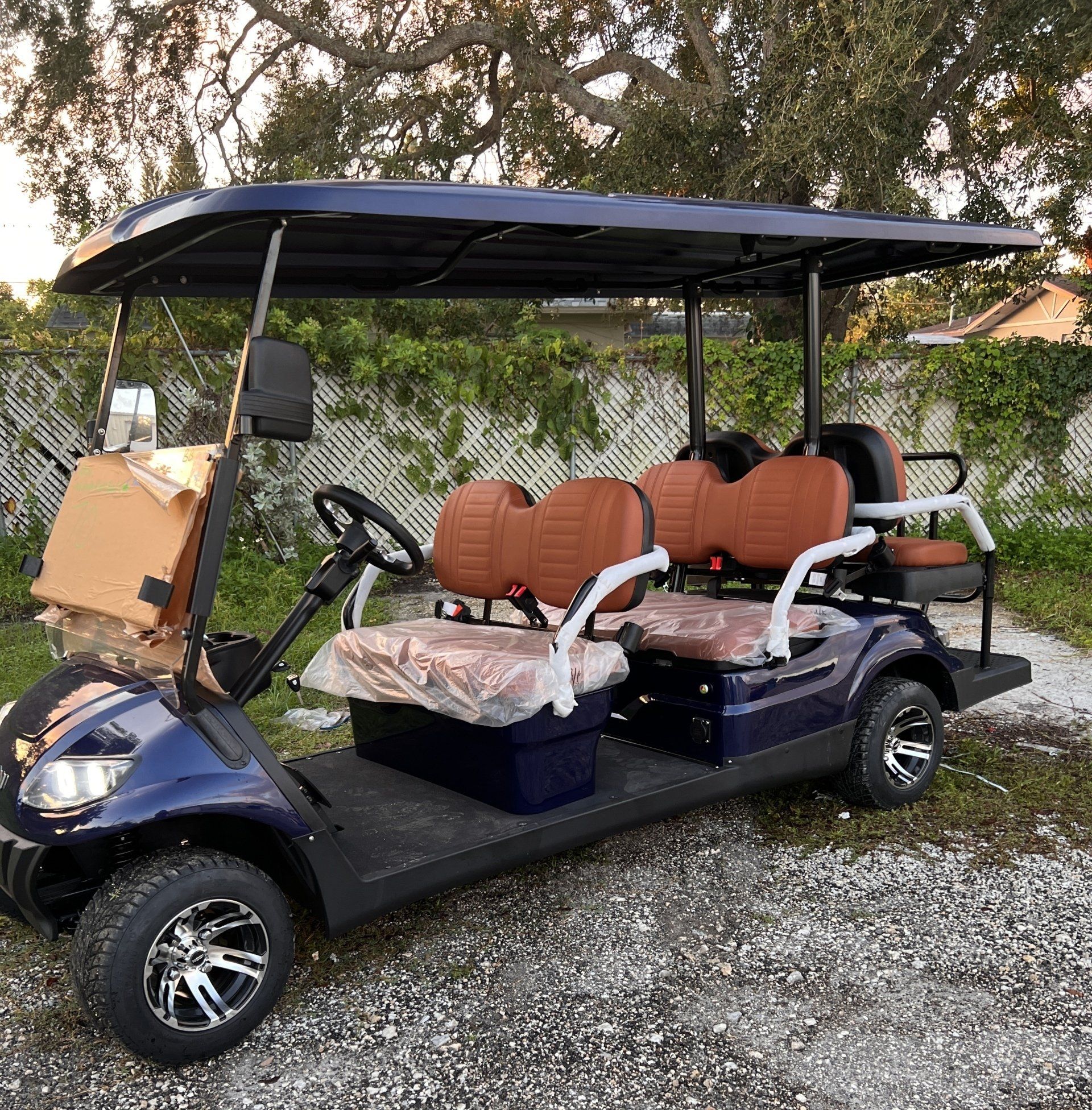 ICON golf carts Naples, FL Hole In One Golf Carts