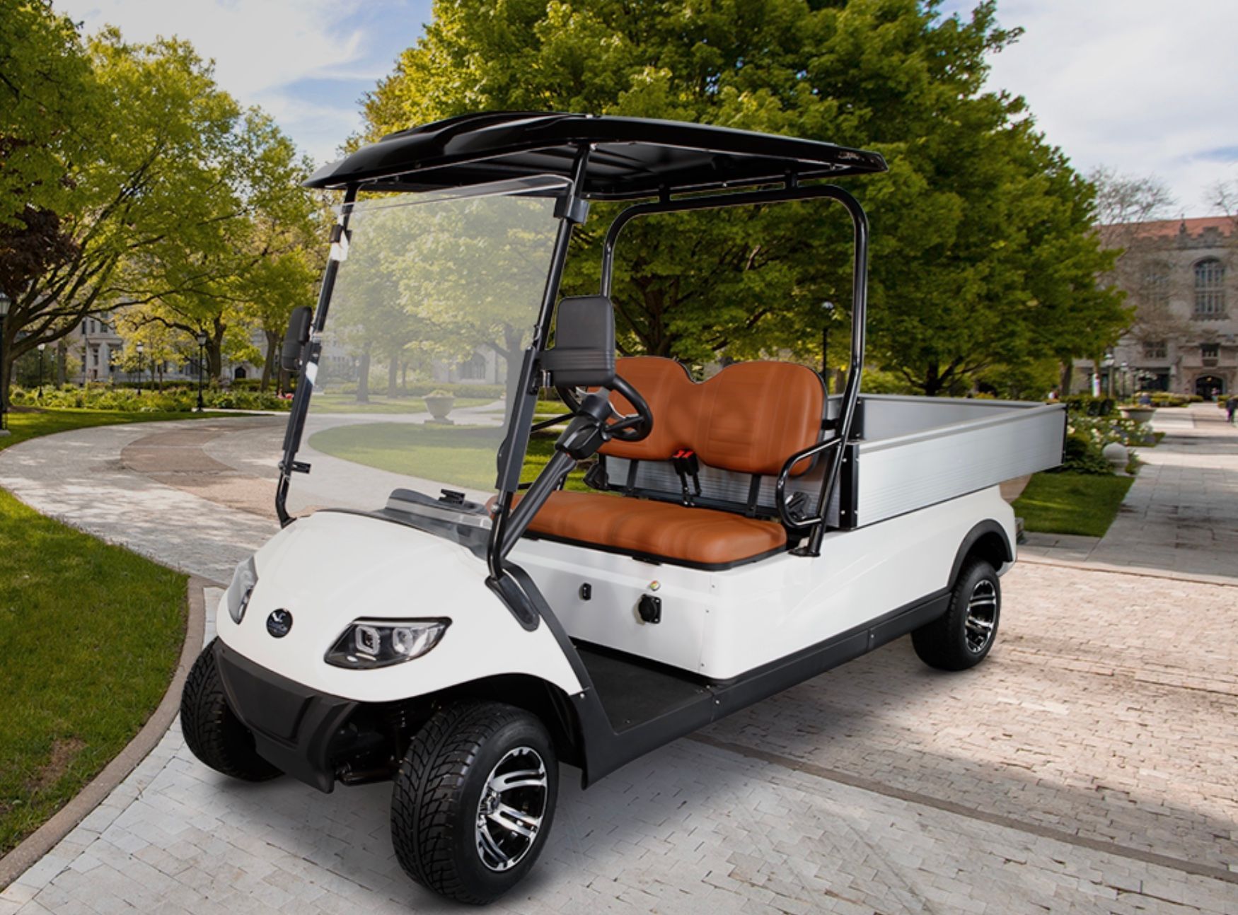 Cruise Car Utility Golf Cart in Metallic White Naples, FL