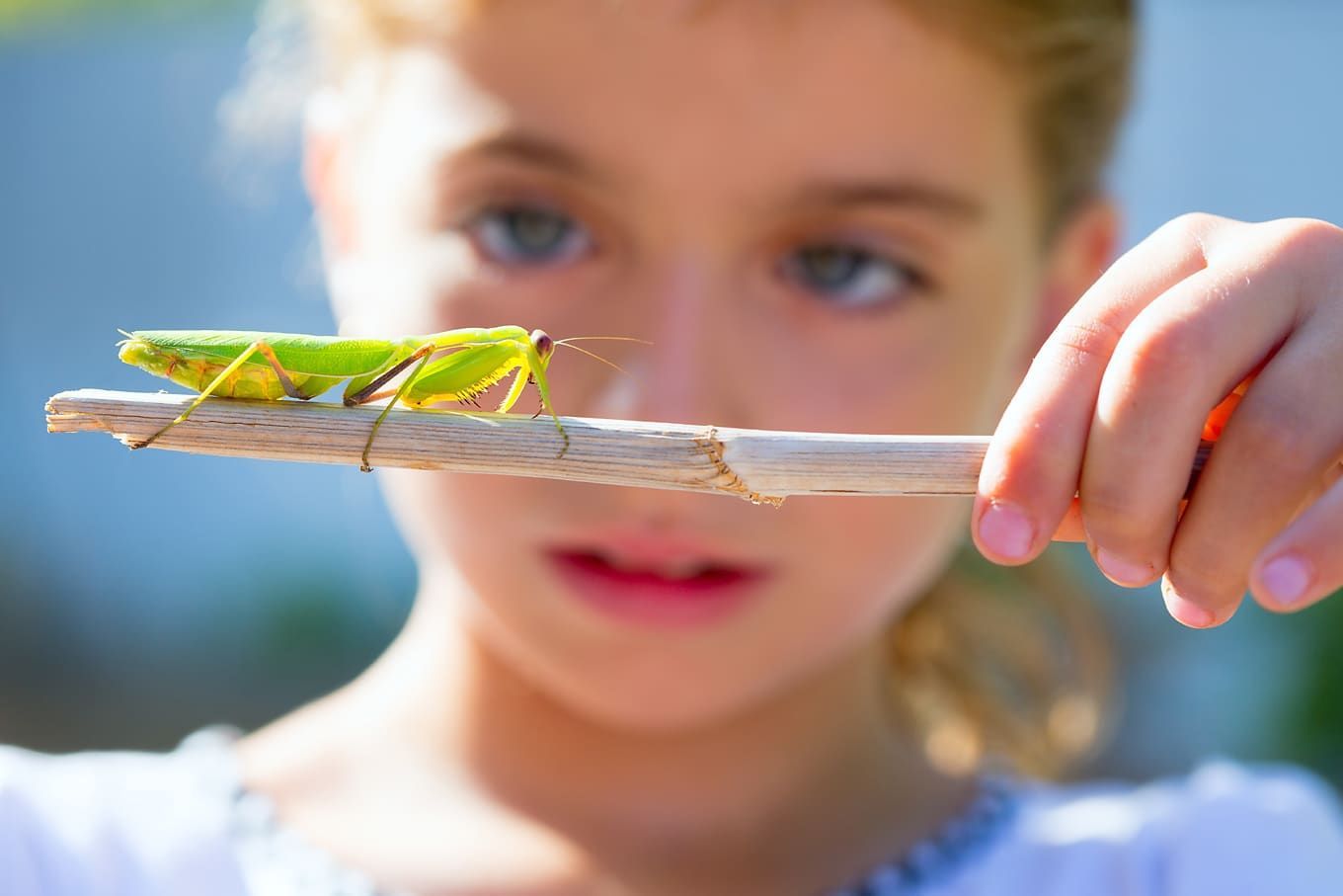 Our Montessori Bookshelf: Wonders of the Natural World