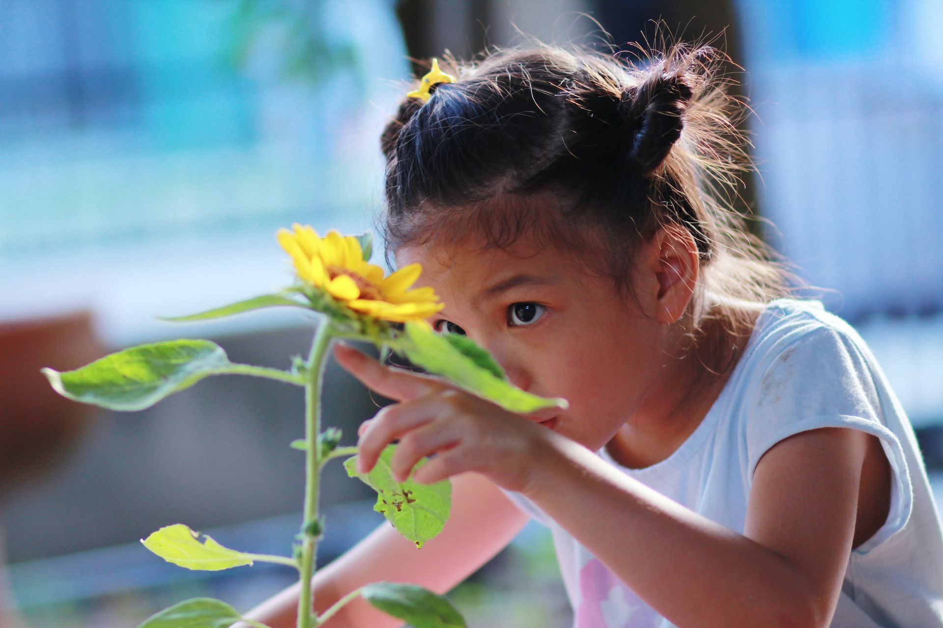 a little girl looks at a sunflower with a bug on it