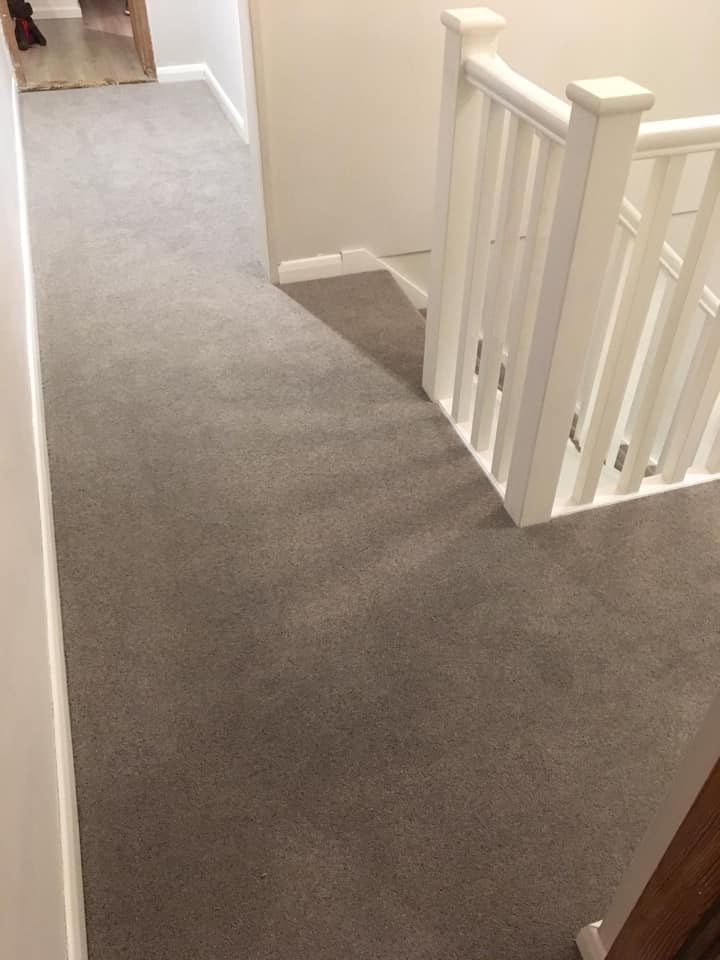 wool carpet