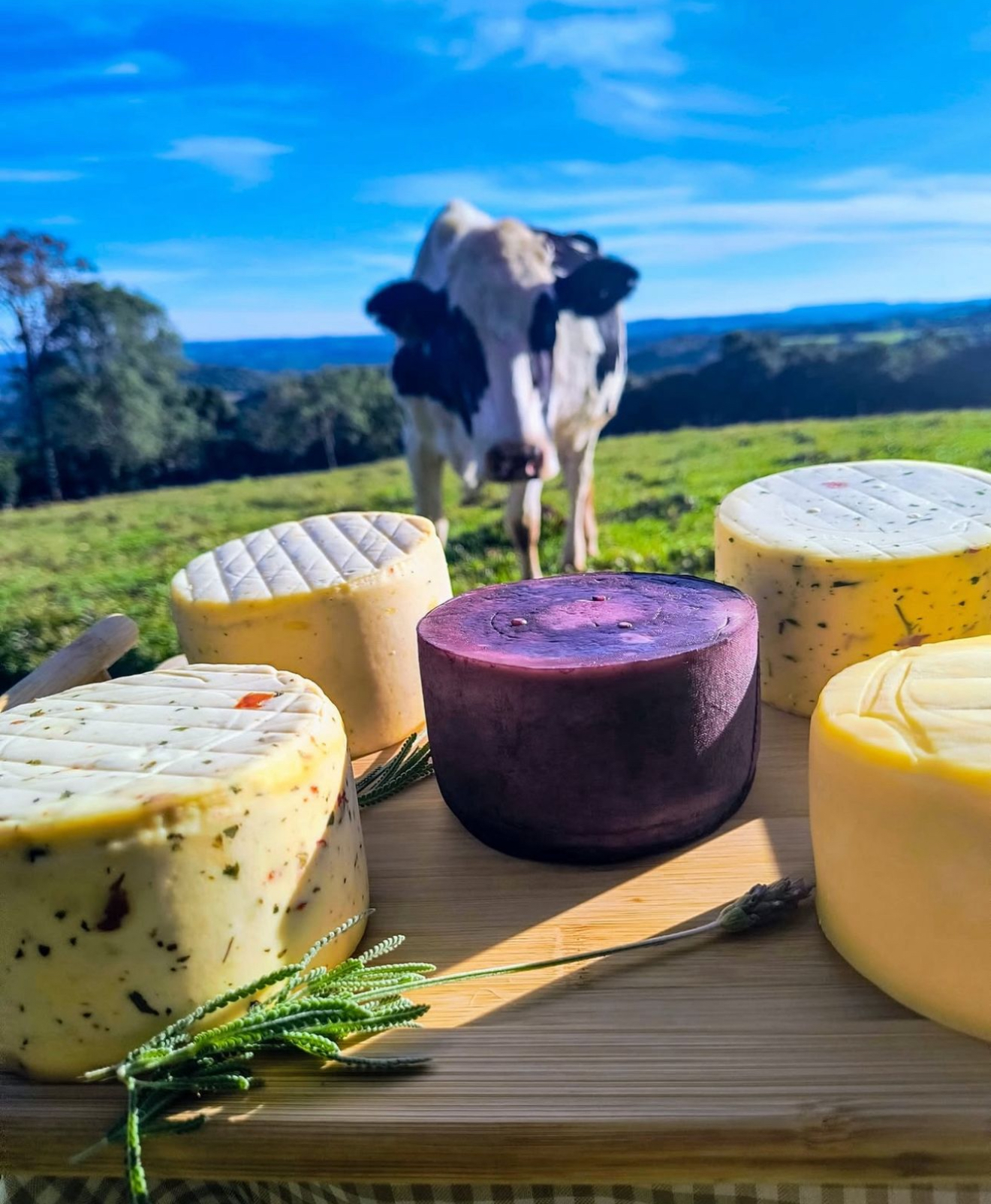 Queijaria Pôr do Sol