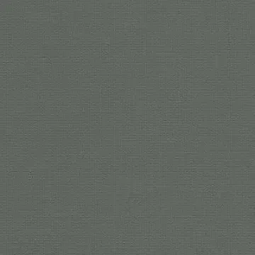 roller shades. Basics - Dark Grey