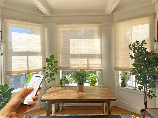 Somfy remote controlled shades in a bright room with plants and a wooden table.