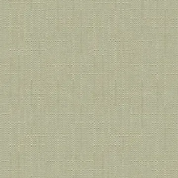 window spaces roller shades 