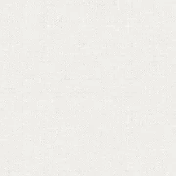 blackout roller shades