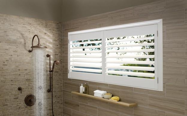 Shutters in Shower window