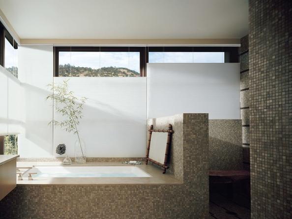 TDBU Honeycomb Shades in bathroom